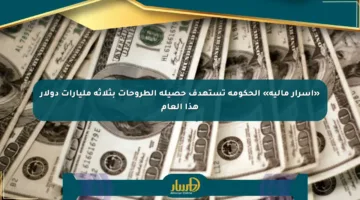 «أسرار مالية» الحكومة تستهدف حصيلة الطروحات بثلاثة مليارات دولار هذا العام